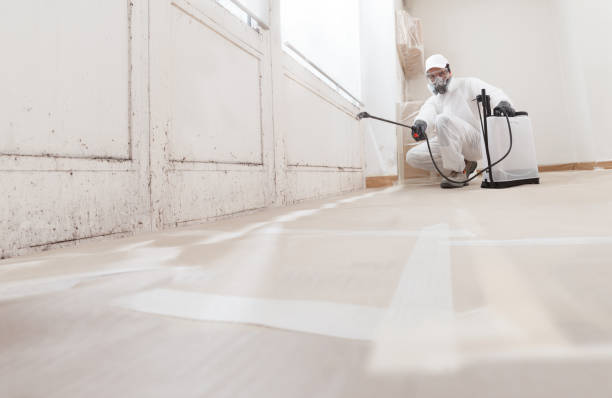 24/7 Emergency Mold Remediation experts in Highland Park, NJ